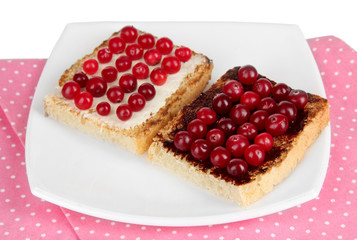 Delicious toast with cranberries on plate close-up