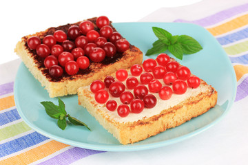 Delicious toast with cranberries on plate close-up