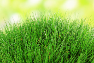 Fototapeta na wymiar Beautiful green grass on nature background
