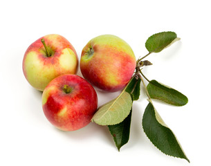 apples with leafs