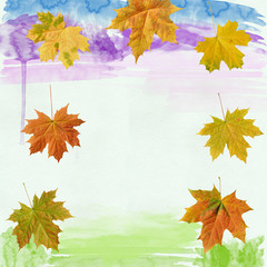 Naklejka na ściany i meble leaf maple on background watercolor