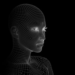 Conceptual wireframe mesh woman face
