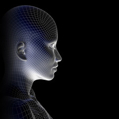 Obraz premium Conceptual wireframe mesh woman face