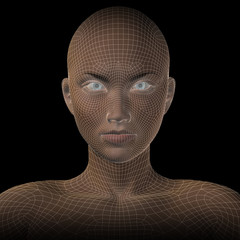 Conceptual wireframe mesh woman face