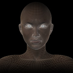 Conceptual wireframe mesh woman face