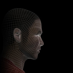 Conceptual wireframe mesh man face