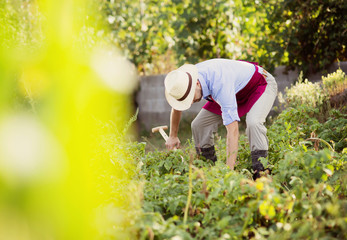 Gardener