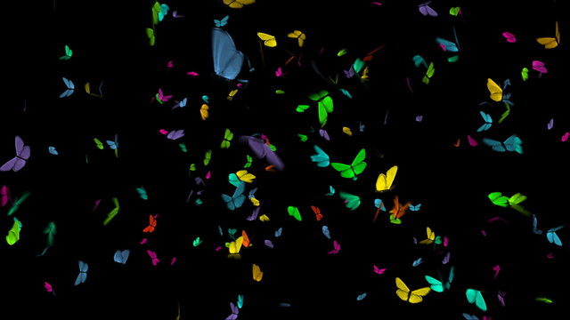 Colorful butterflies with alpha channel - HD 1080p loop