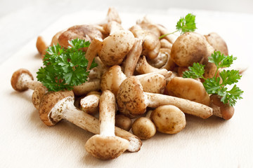 Fresh mushrooms