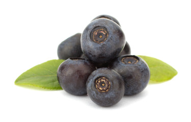 Fresh blueberries isolated on white background