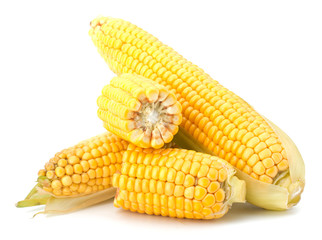 Fresh raw corn cobs isolated on the white background