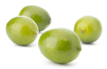 Fresh lime fruit Isolated on white background