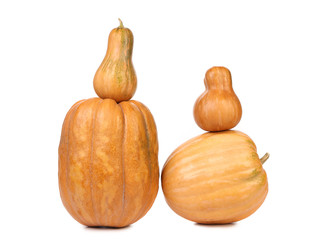 Composition of fresh orange pumpkin.
