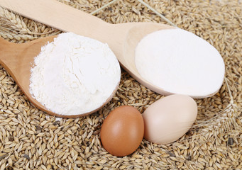 Two wood spoons composition.