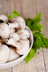 fresh champignons