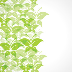 Green butterfly background stock vector