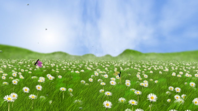 Follow butterflies  HD 1080p