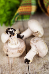 fresh champignons closeup on old wooden table