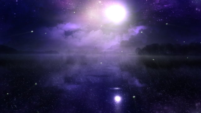 Magic Night with Lighting Bugs HD loop
