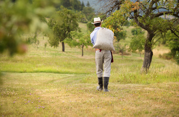 Gardener