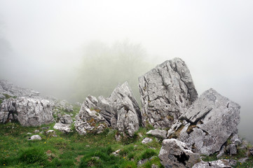 boulder and big rocks in foggy forest