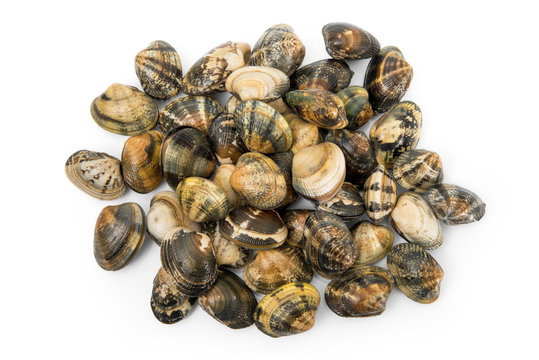 รูปภาพVongole – เลือกดูภาพถ่ายสต็อก เวกเตอร์ และวิดีโอ8,043 | Adobe Stock