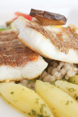 Closeup of grilled fish with vegetable 