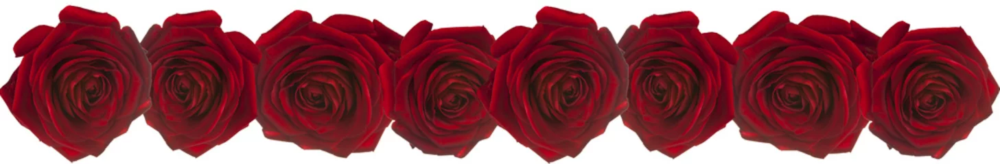 Deurstickers ribbon of red roses © fabi33