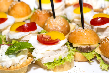 canape with meat seafood and vegetables on a white background