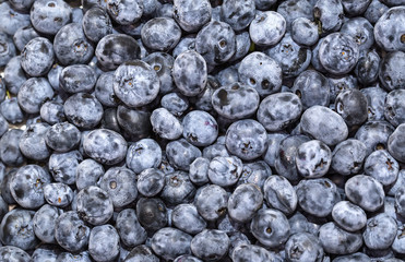 blueberry background