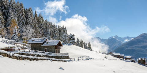 paesaggio con neve fresca