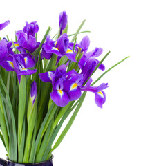 Naklejka premium blue irise flowers bouquet