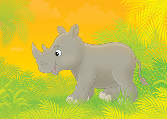 Rhino