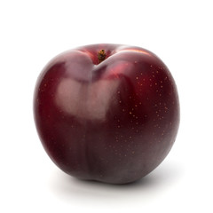 Red plum fruit