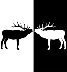 vector black white and black deer
