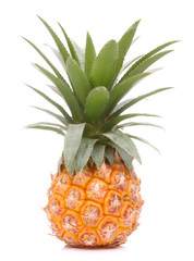 Pineapple tropical fruit or ananas