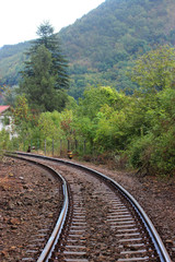Obraz premium Railroad at countryside