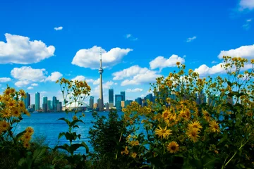 Fotobehang Toronto Skyline op een mooie dag © Atomazul