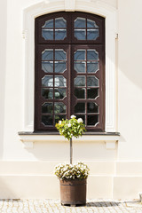 Large window in wall of palace, pot with blooming flowers.