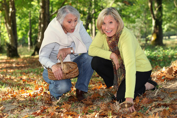 Women picking mush