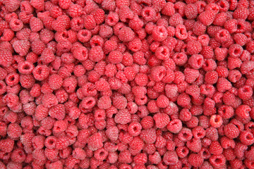 Raspberries