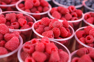 Gathered raspberries