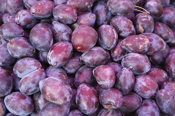 Violet plum fruits