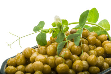 Marinated green peas