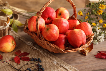 Apple harvest and fantastic fall season in full swing