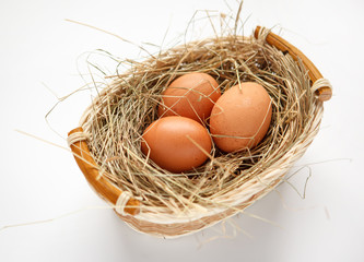 Wattled willow basket with brown chicken eggs