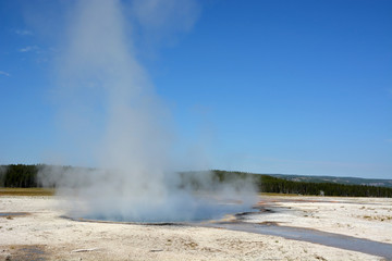 Yellowstone- geyser land