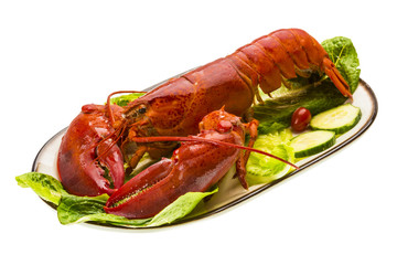 Large Lobster