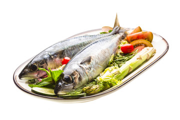 Atlantic raw sardine