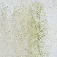 Concrete wall covered with mold